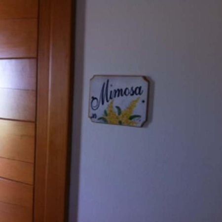 Agriturismo Accipicchia أنكونا الغرفة الصورة